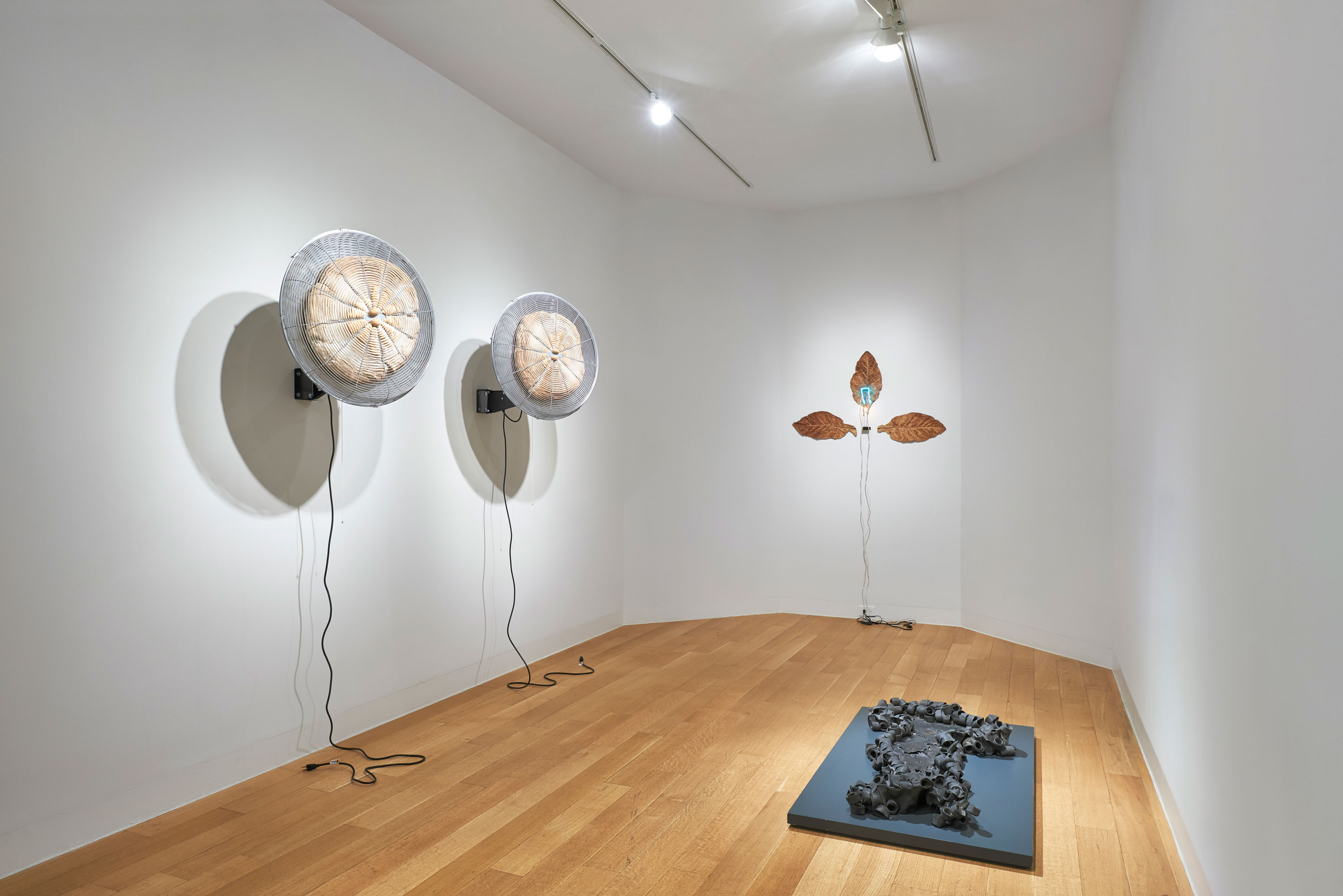 <p>Arte Povera and After</p>