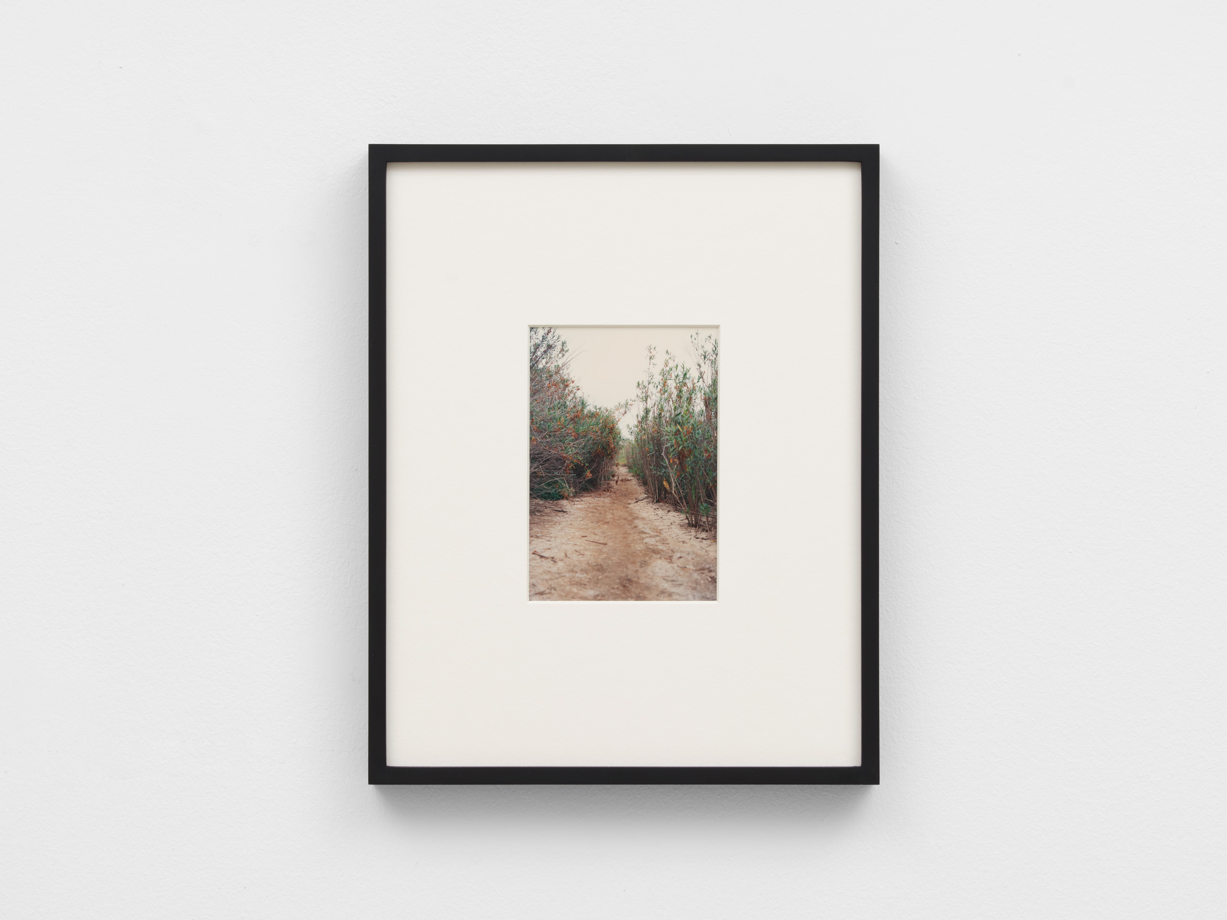 <p>Untitled (Harbor City Recreational Park)</p>