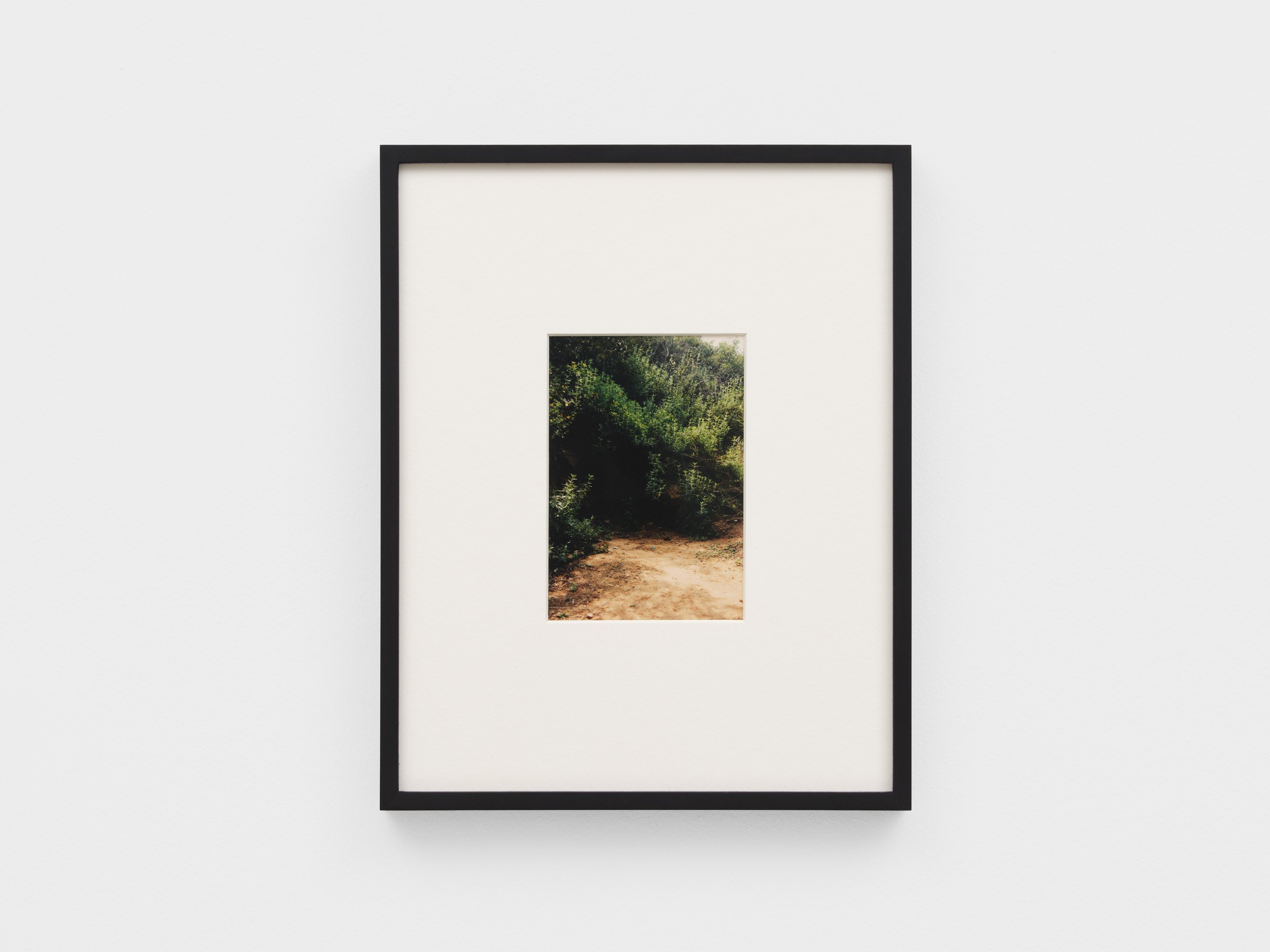 <p>Untitled (Griffith Park)</p>