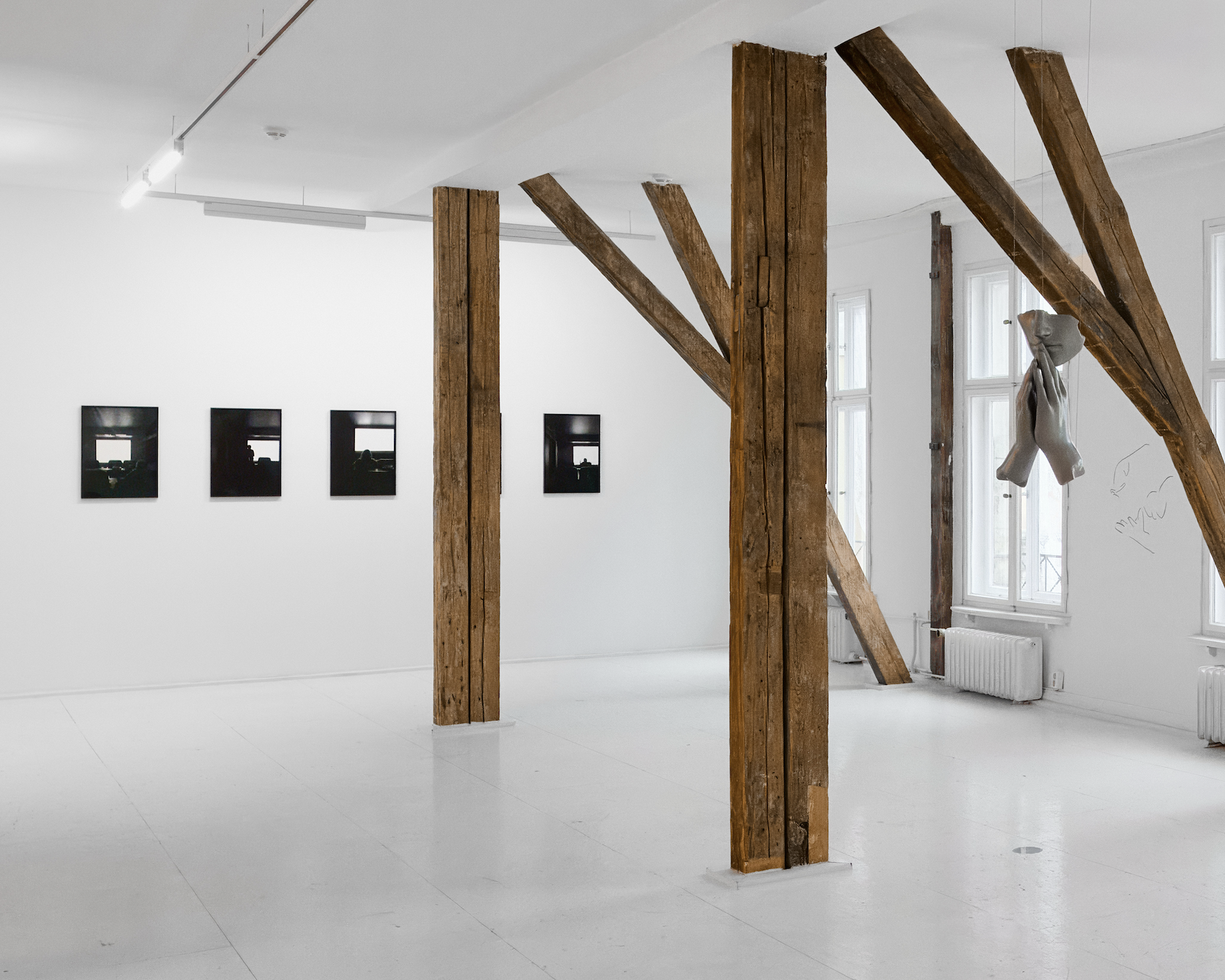 <p><em>A Single Hurt Color</em></p>