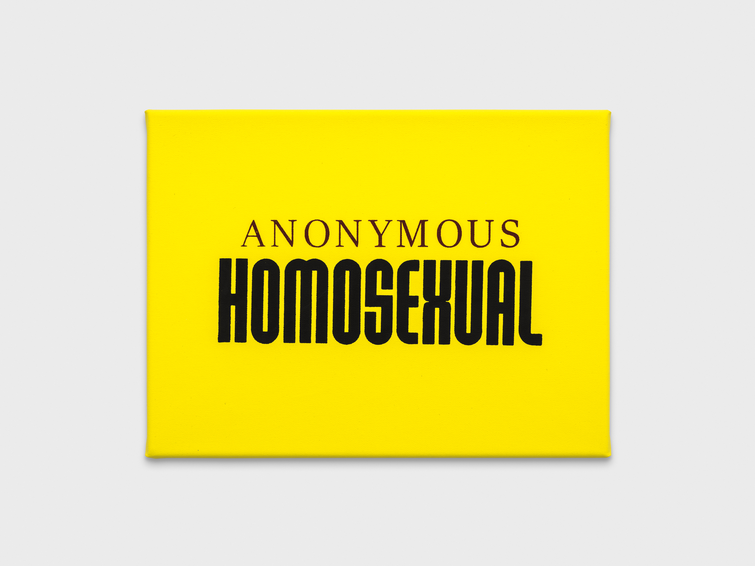 <p><em>Anonymous Homosexual</em></p>