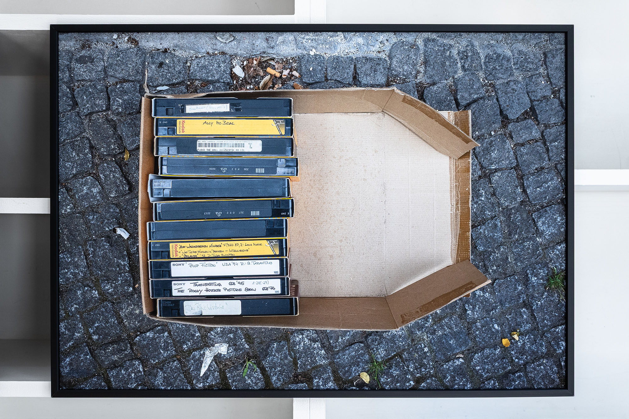 <p>zu verschenken</p>