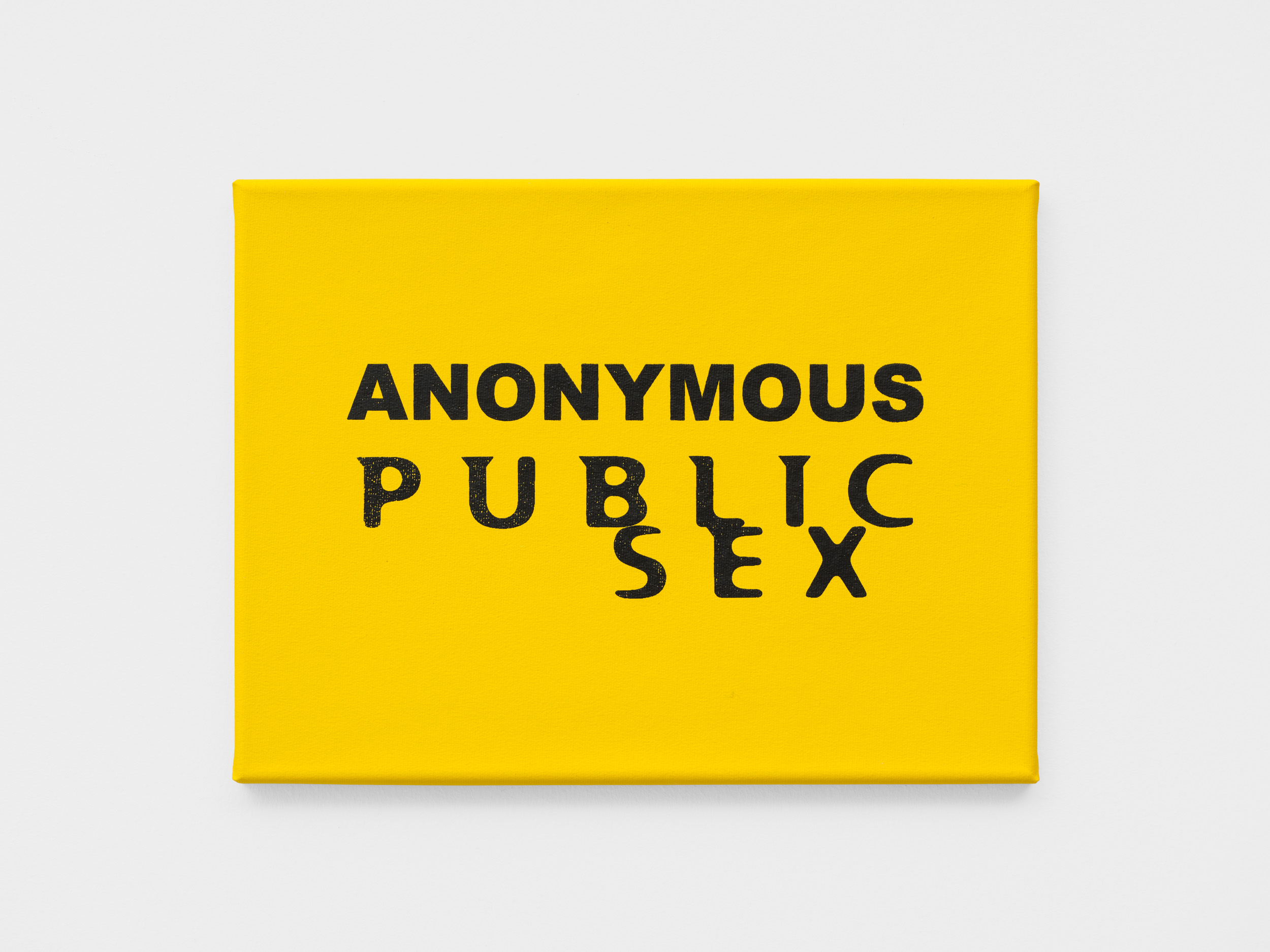 <p>Anonymous Public Sex</p>