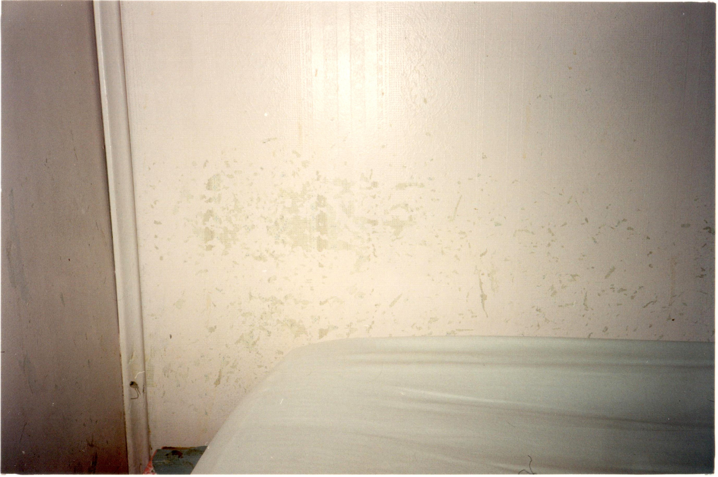 <p><em>Traces (no.1)</em></p>