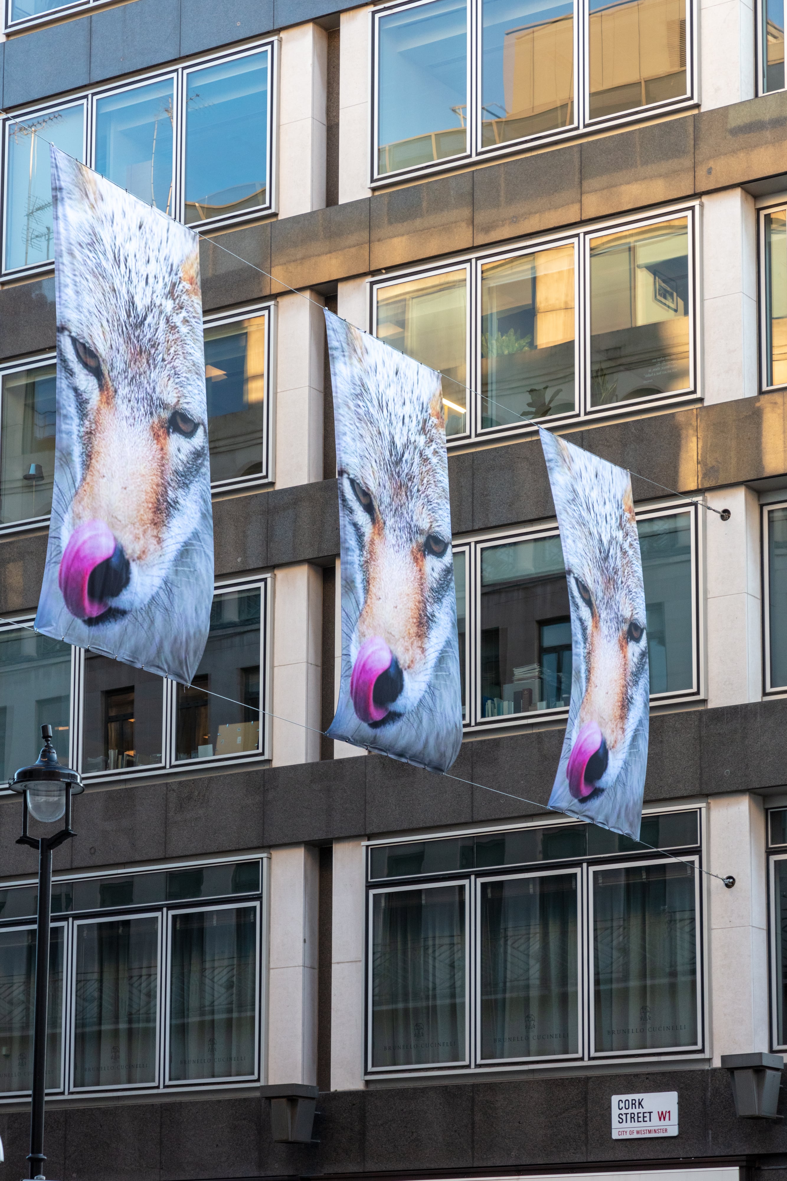 <p><em>Ravenous and Predatory</em></p>