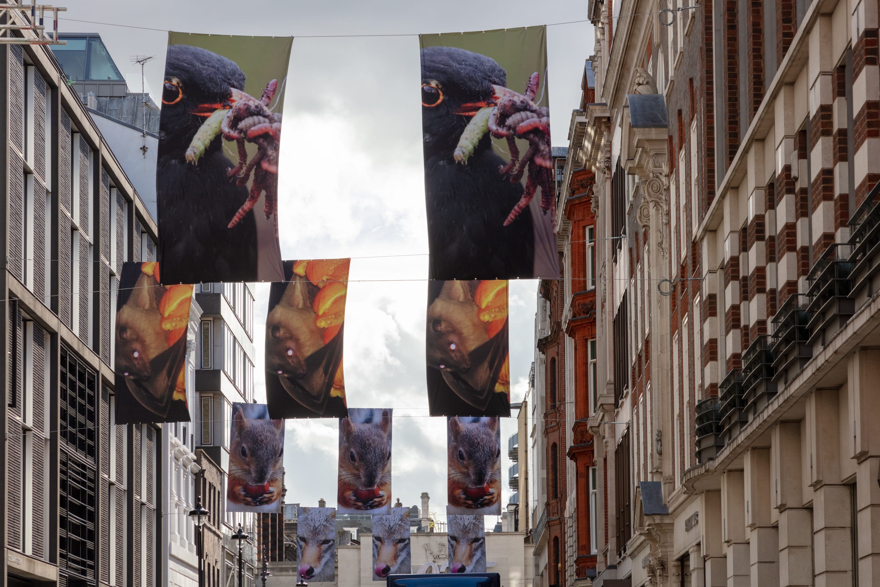 <p><em>Ravenous and Predatory</em></p>