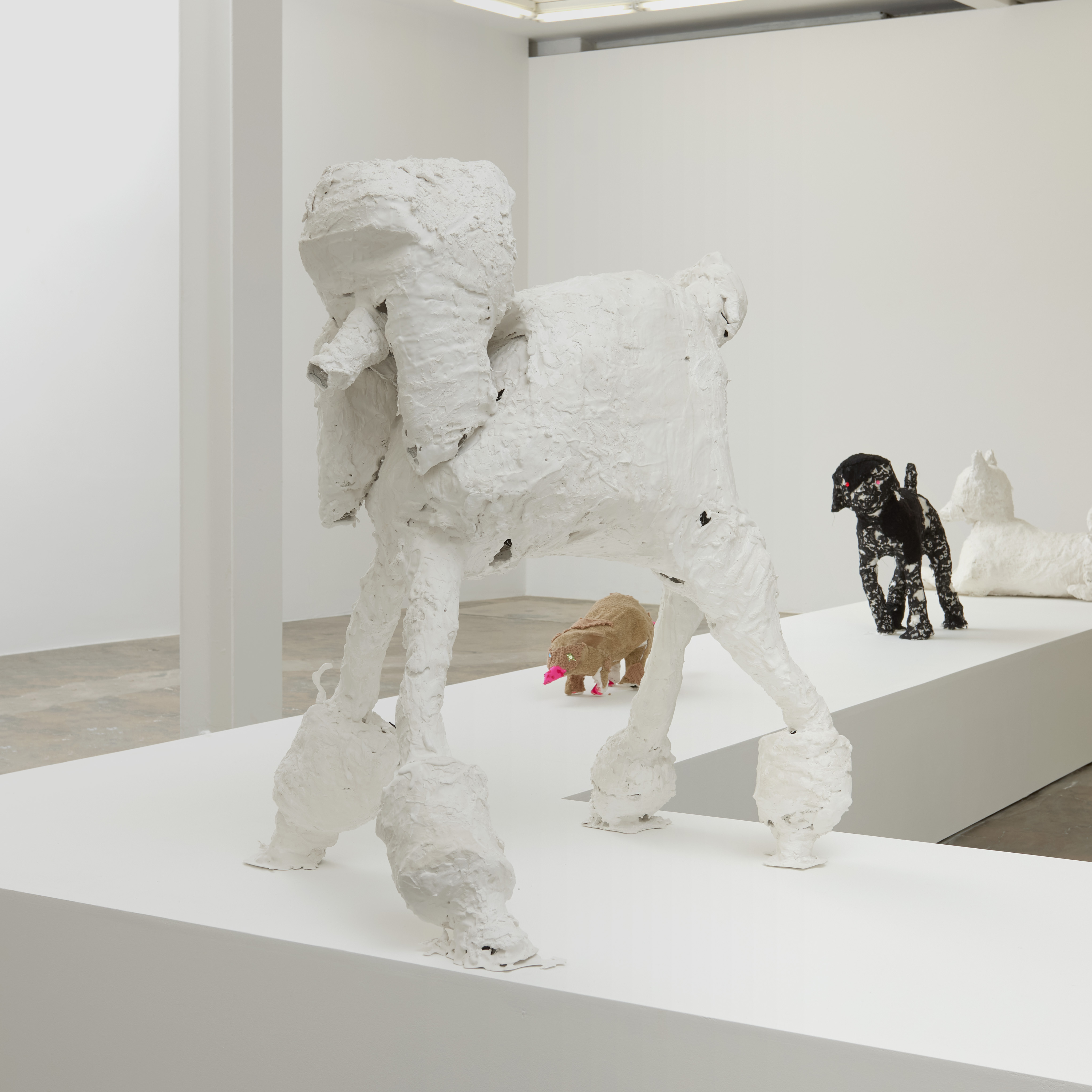 <p><em>Elizabeth</em></p>