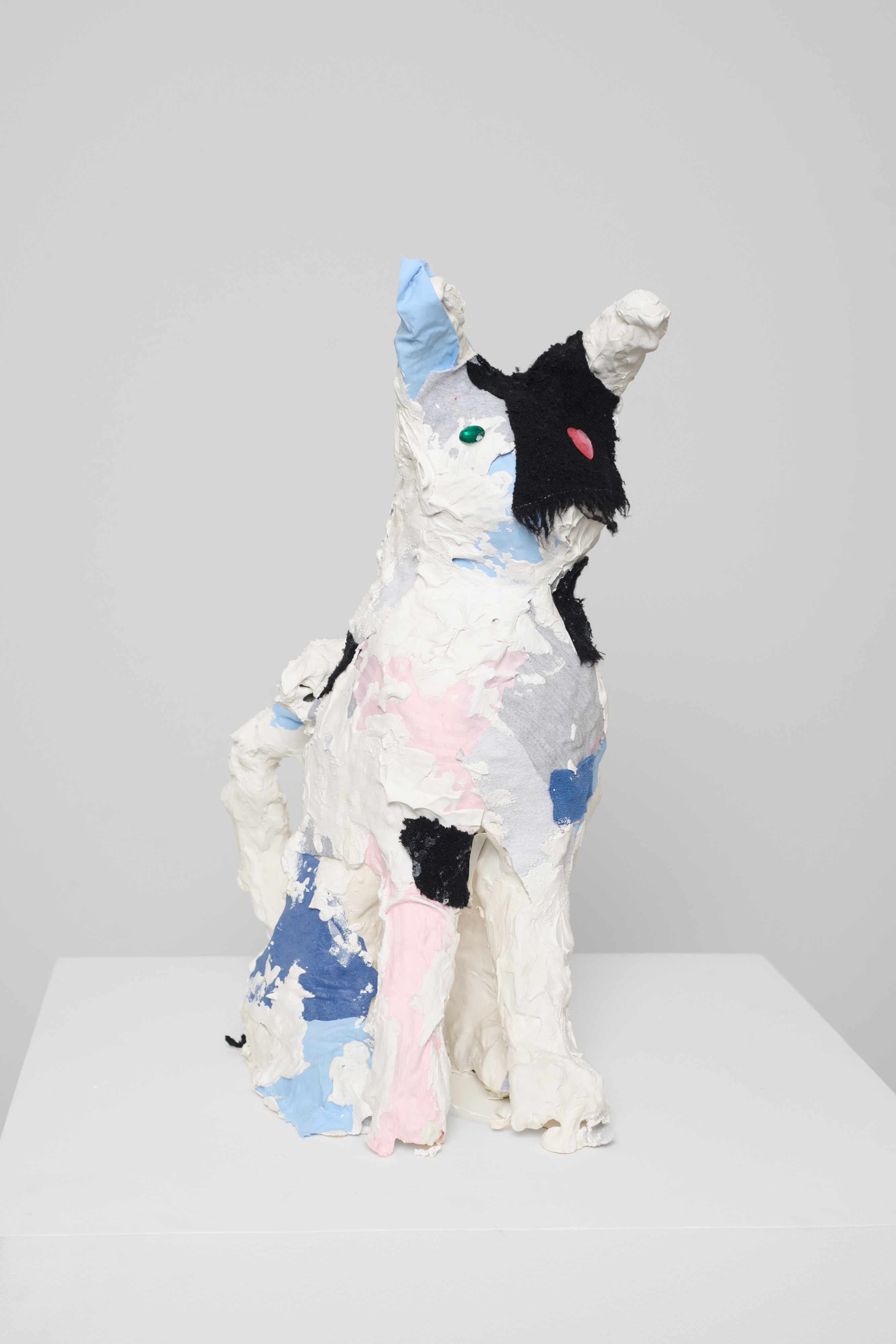 <p><em>Jesse</em></p>