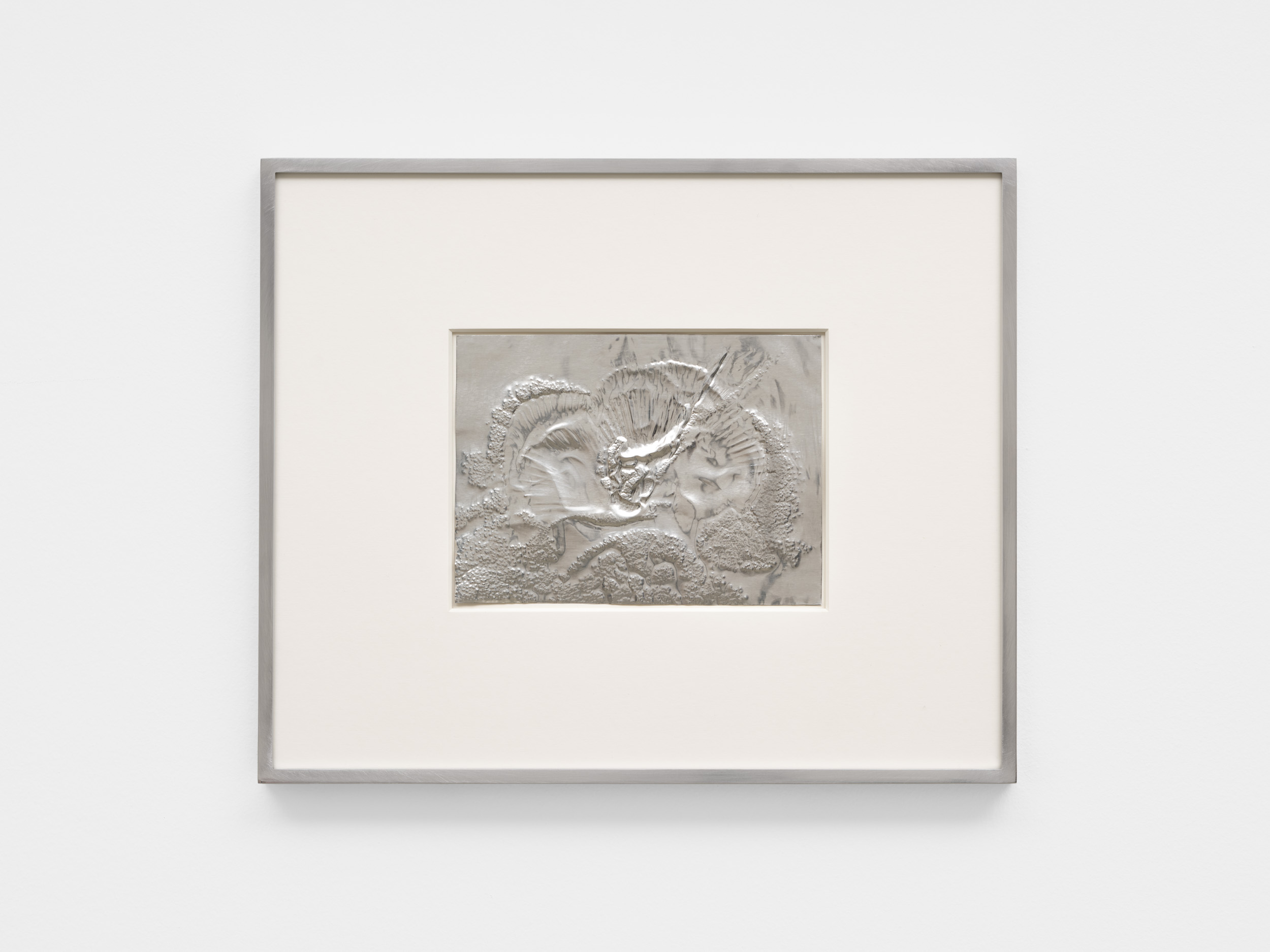 <p><em>Lecanora</em></p>