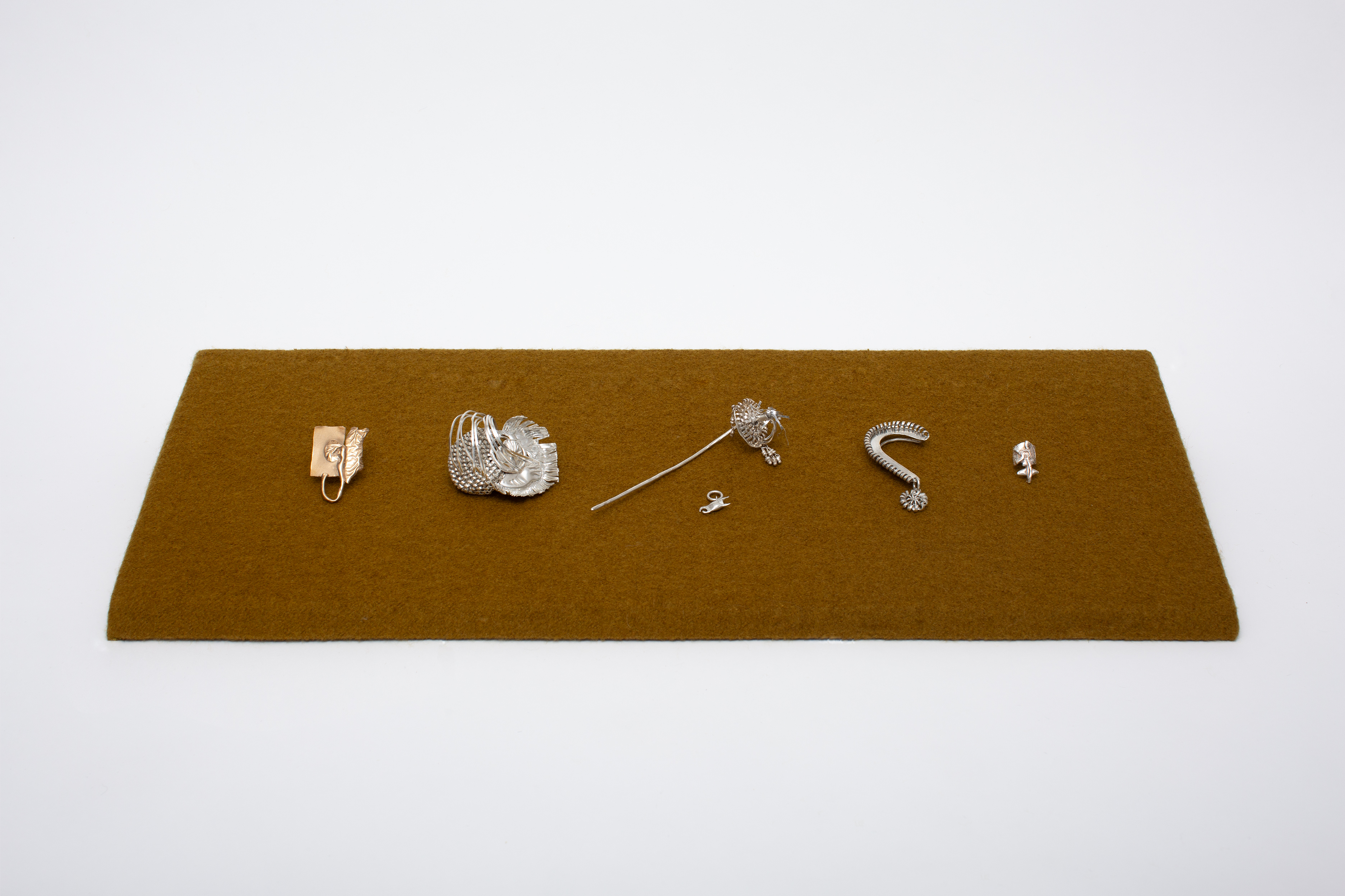 <p><em>Hazelnut, Hazelnot</em></p>