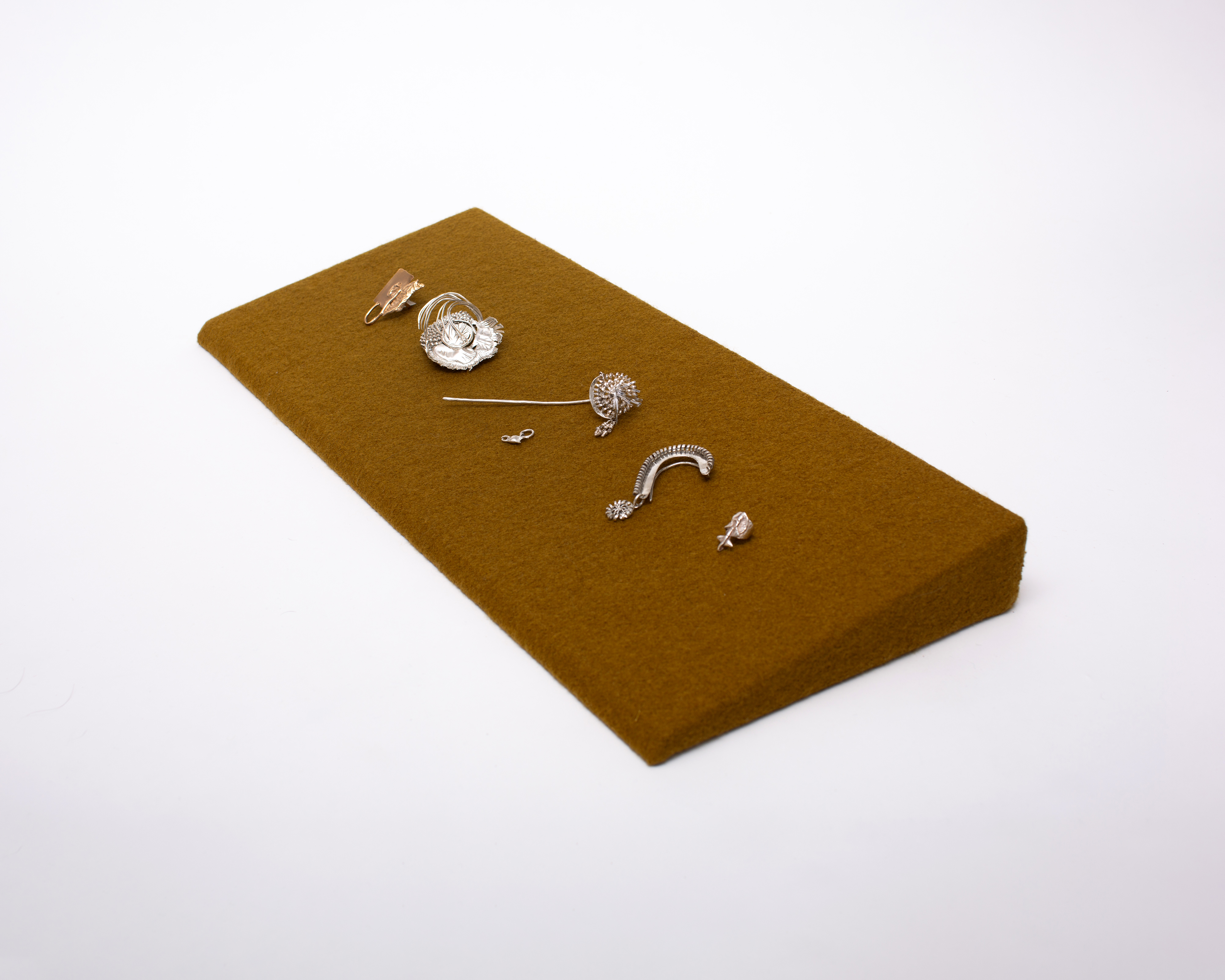 <p><em>Hazelnut, Hazelnot</em></p>