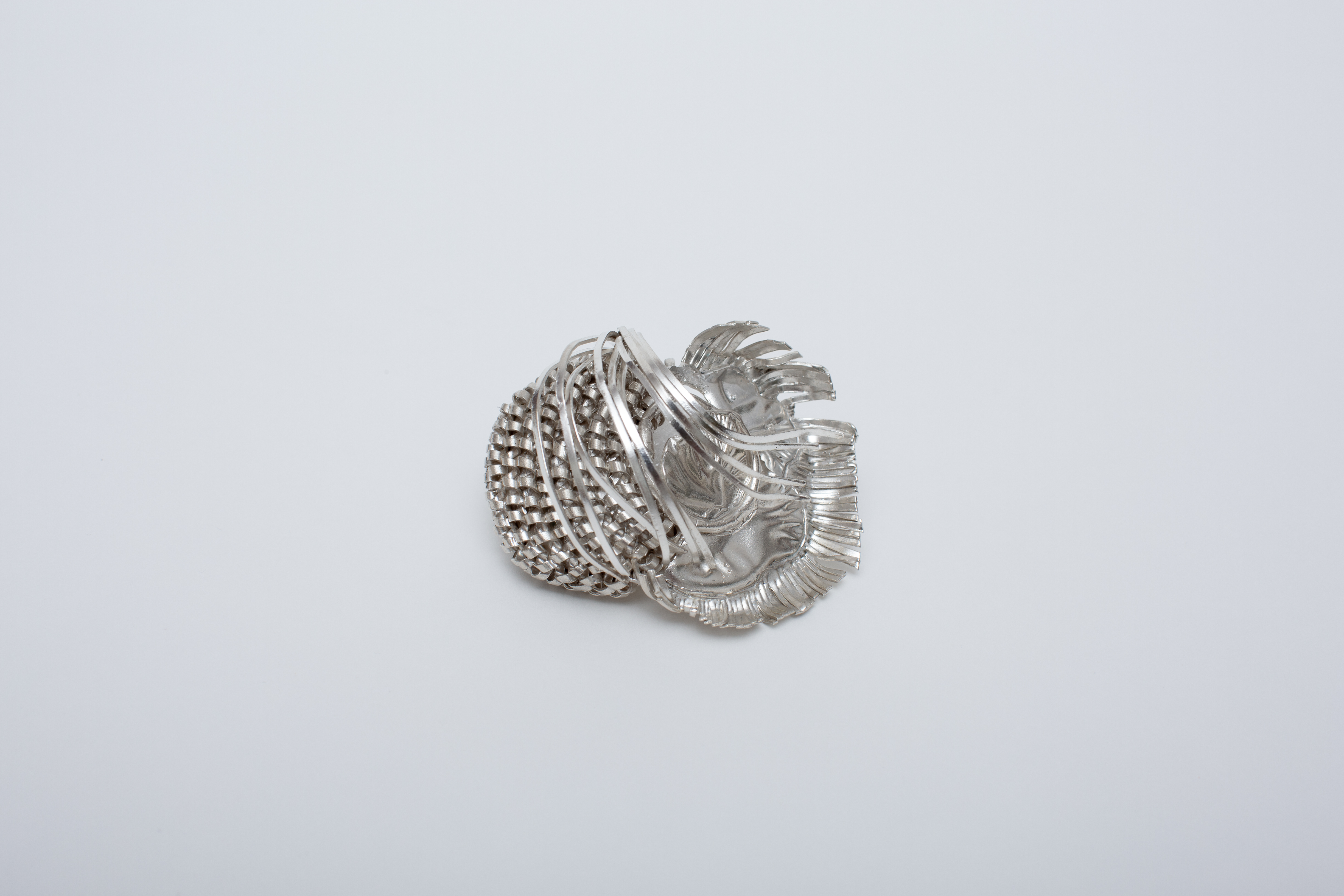 <p><em>Festival</em></p>