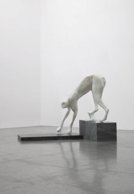 <p><em>Stalk her (lynx)</em></p>