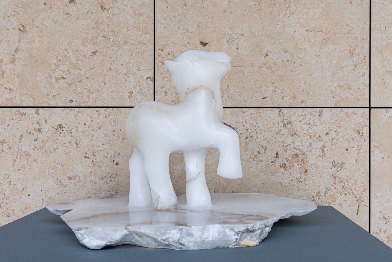 <p>My Adolescent Pony</p>