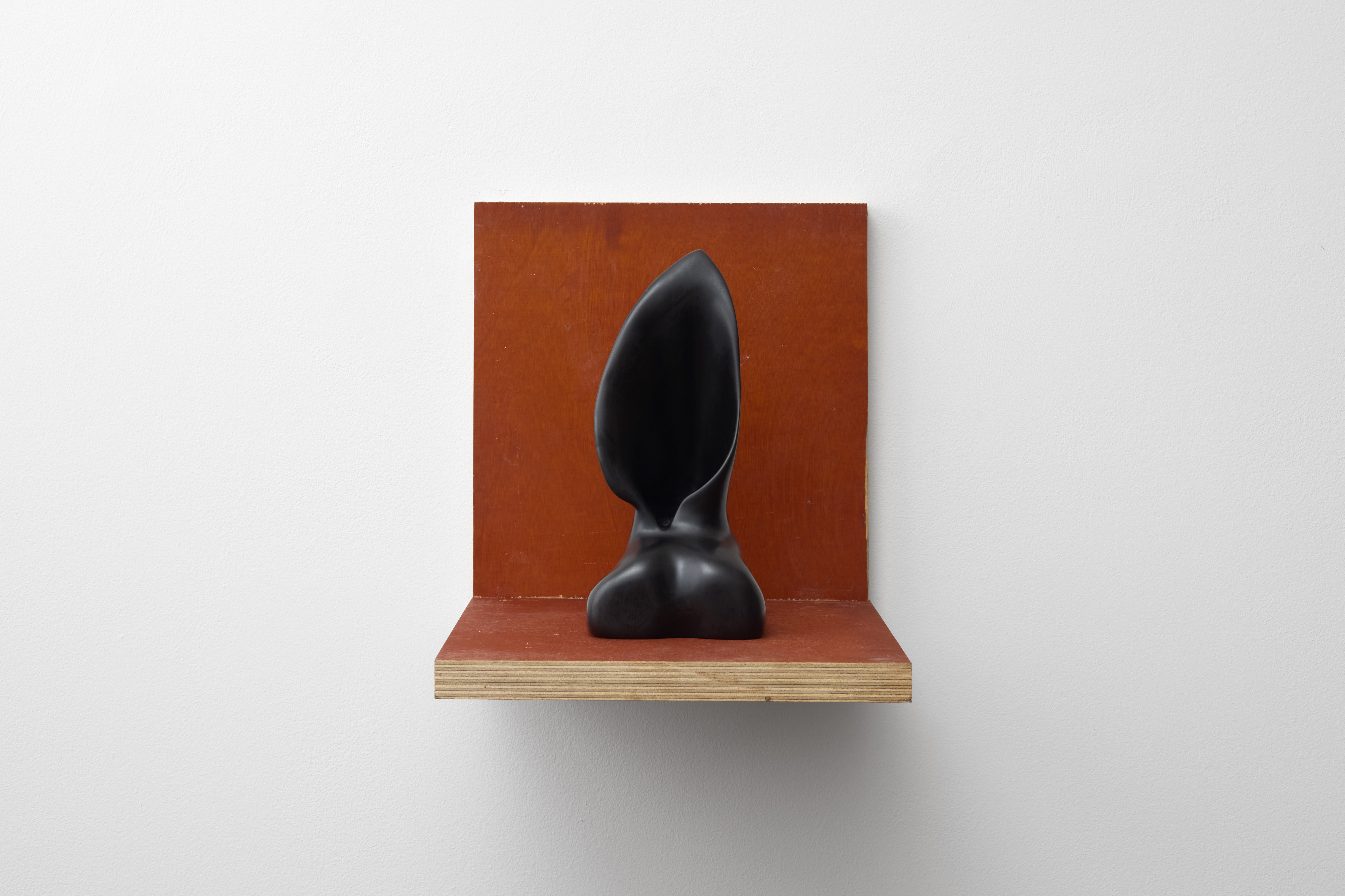 <p><em>decollate (black, right)</em></p>