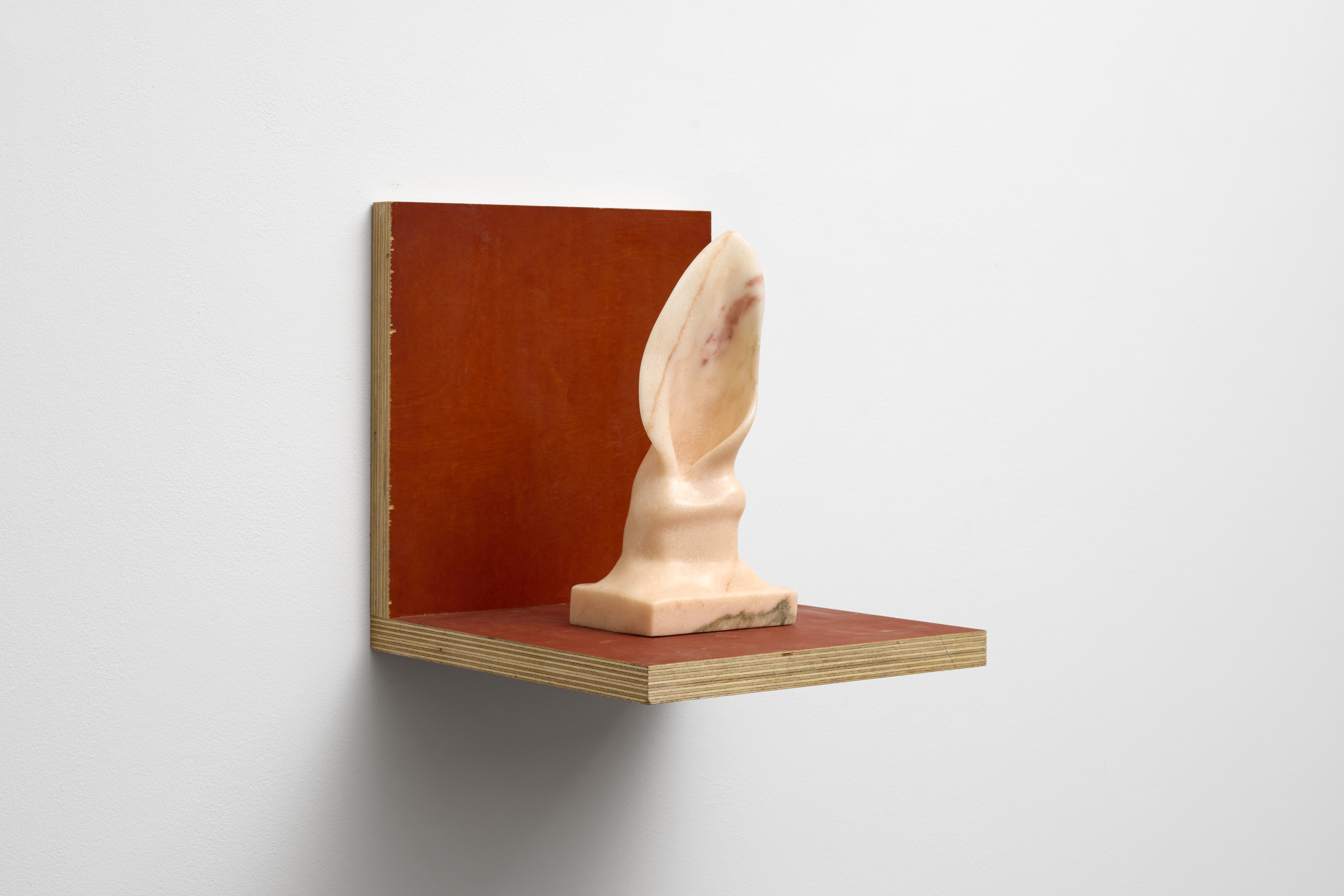 <p><em>decollate (pink, right)</em></p>