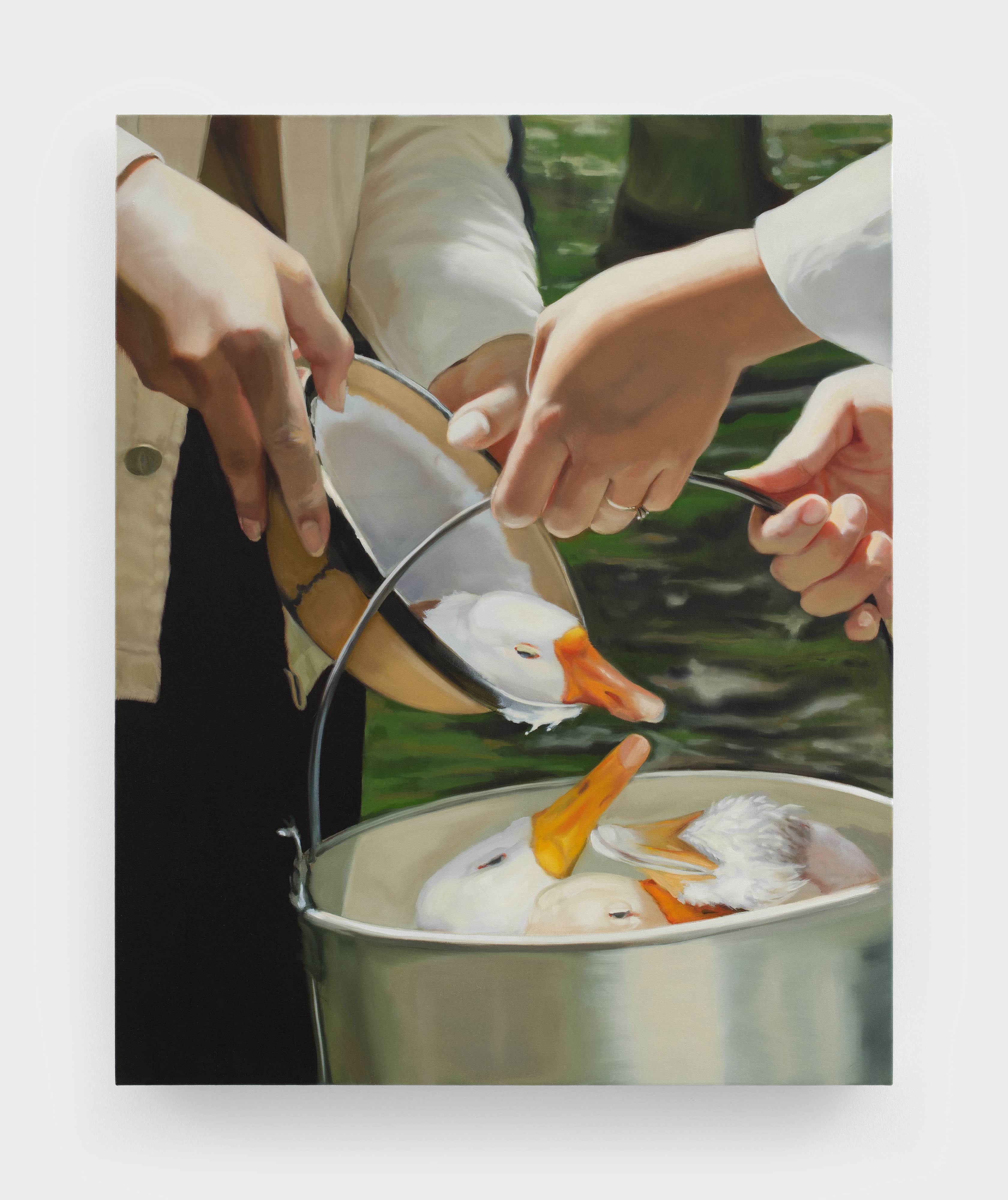 <p>Bucket of Birds</p>