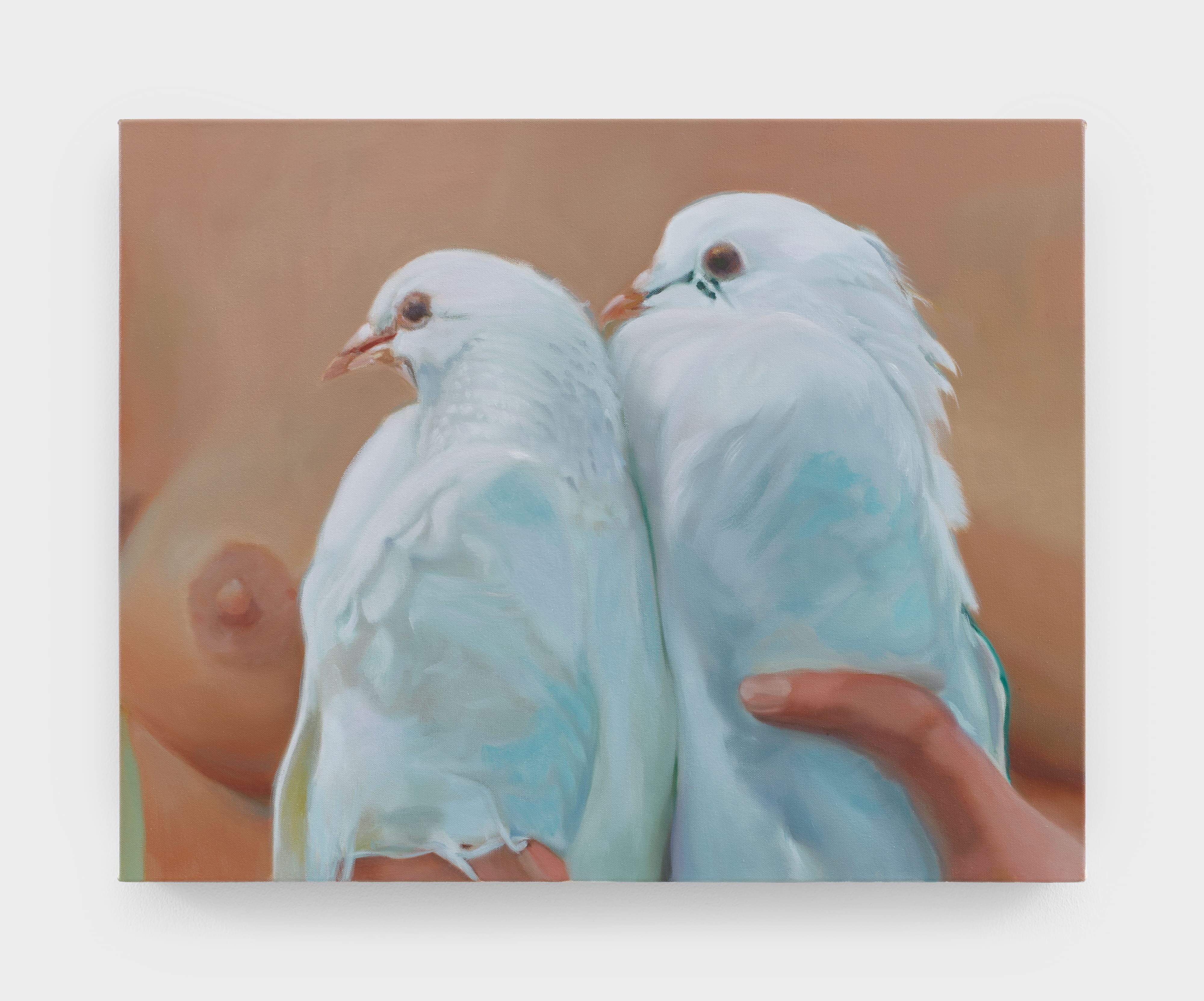 <p>Mourning Doves</p>